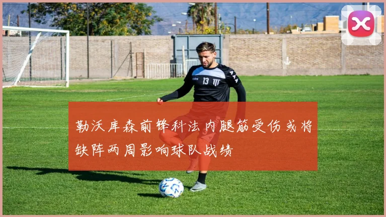 勒沃库森前锋科法内腿筋受伤或将缺阵两周影响球队战绩