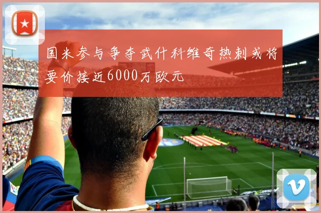 国米参与争夺武什科维奇热刺或将要价接近6000万欧元